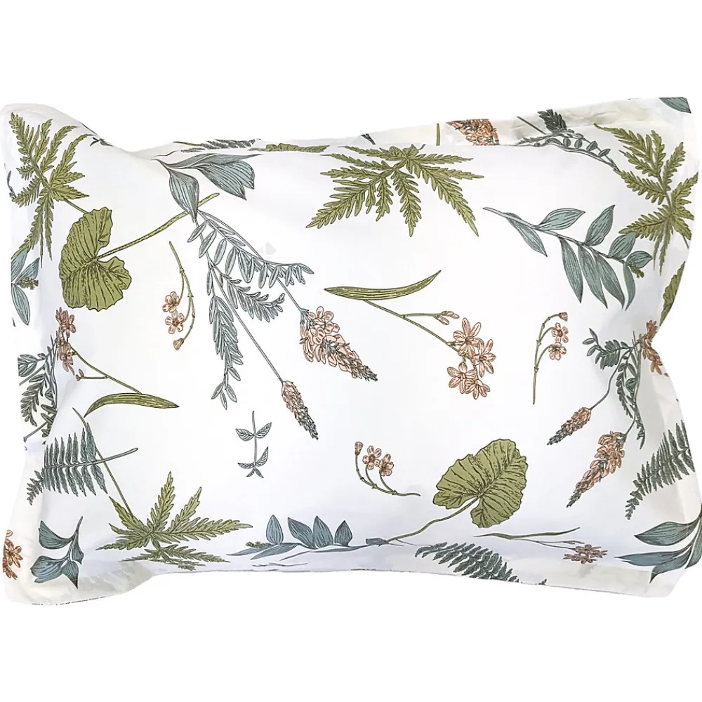 Taie d'oreiller 50x70 cm percale coton FÉÉRIE Blanc sauge>Linnea Discount