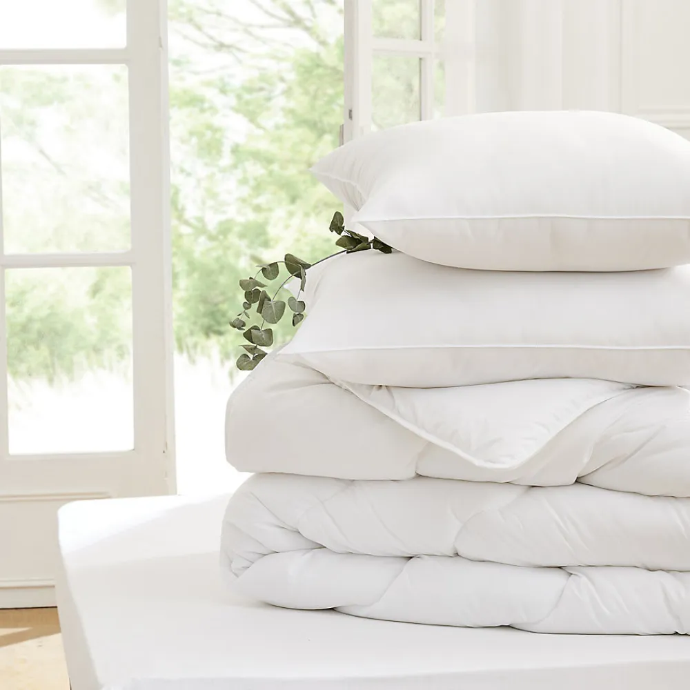 - Oreiller - Eole - Confort souple - 60x60cm - Blanc>Toison d'Or Clearance