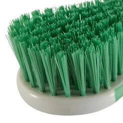 Tête de brosse à récurer poils rigide blanc l.7cm><noscript><img width=